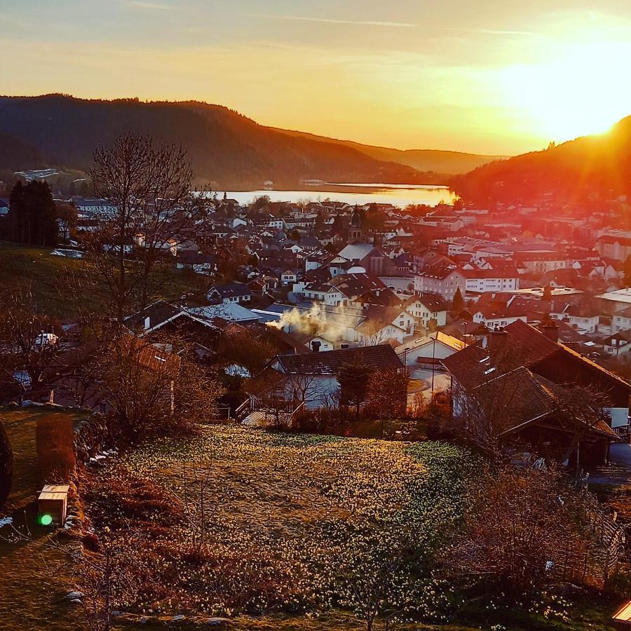 Aux Bonheurs Du Lac Gérardmer Dış mekan fotoğraf